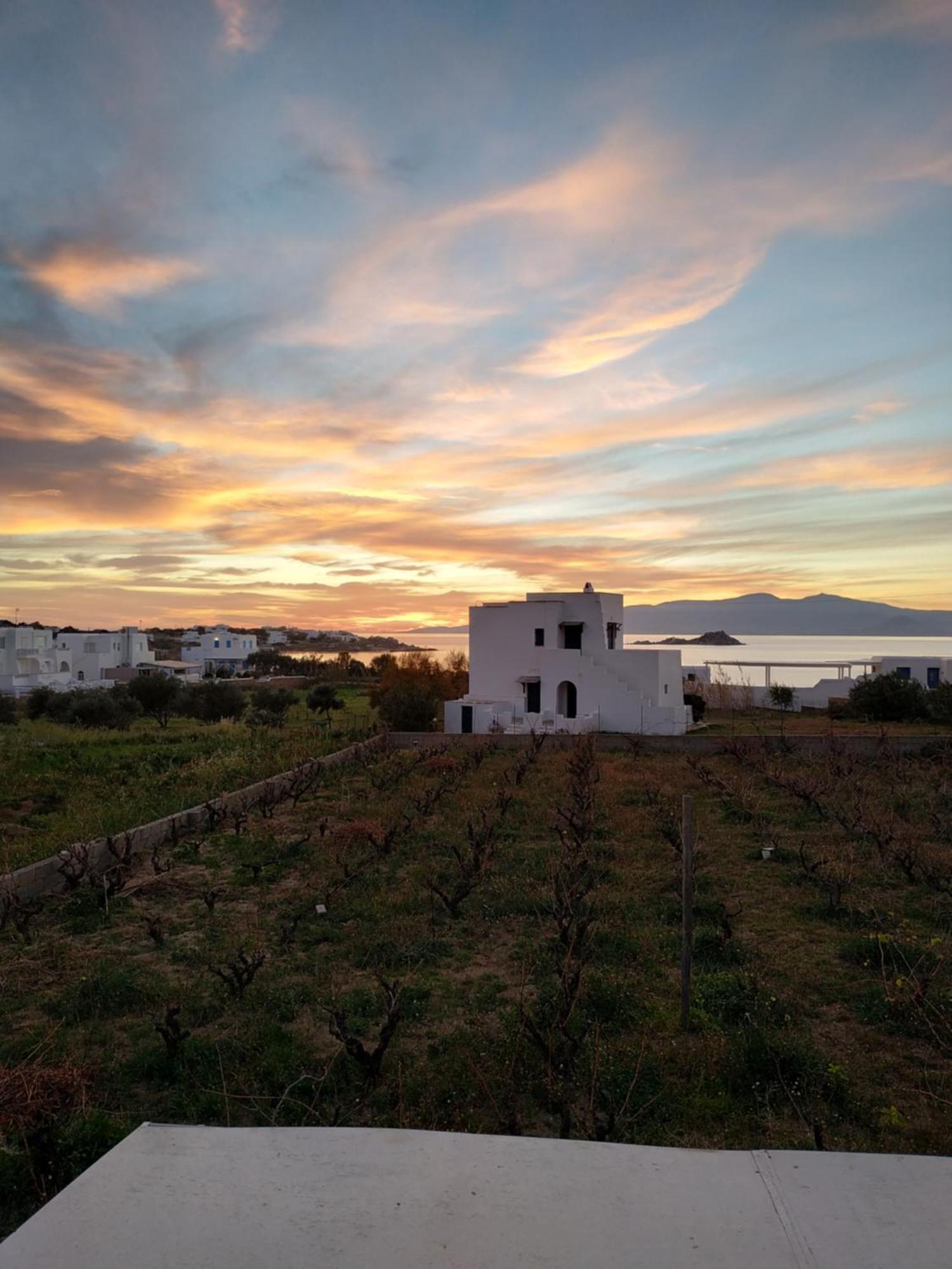 Matina Naxos - Mikri Vigla Vendégház Szoba fotó